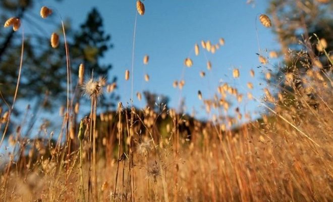 Αύγουστος: Ο μήνας της Παναγίας μας – Τα ήθη και έθιμα από 1 έως 15 Αυγούστου