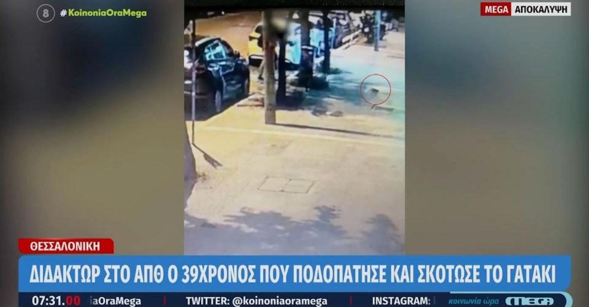 Ο 39χρονος που «έλιωσε» με το πόδι του το γατάκι ήταν διδάκτωρ, ποιητής και συγγραφέας