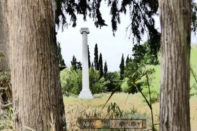 Γιατί φυτεύουν κυπαρίσσια στα νεκροταφεία;