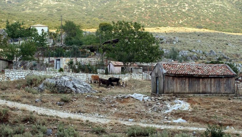 Τpαγωδία στην Καβάλα: «Είχε μαpτυρικό θάνατο όπως ήταν και η ζωή της», λέει ο αδερφός της 68χρονης κτηνοτρόφου