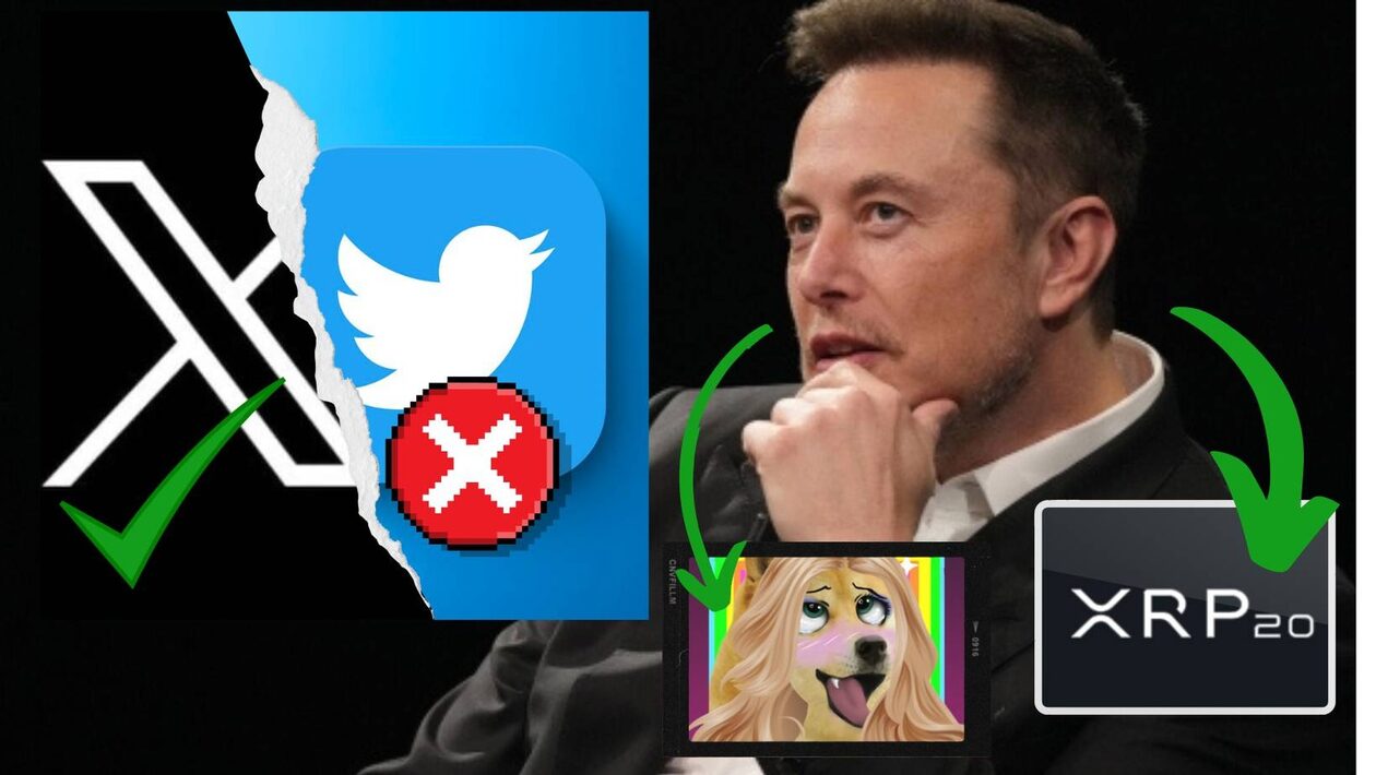 Twitter: Το κοινωνικό δίκτυο του Elon Musk γίνεται X.com