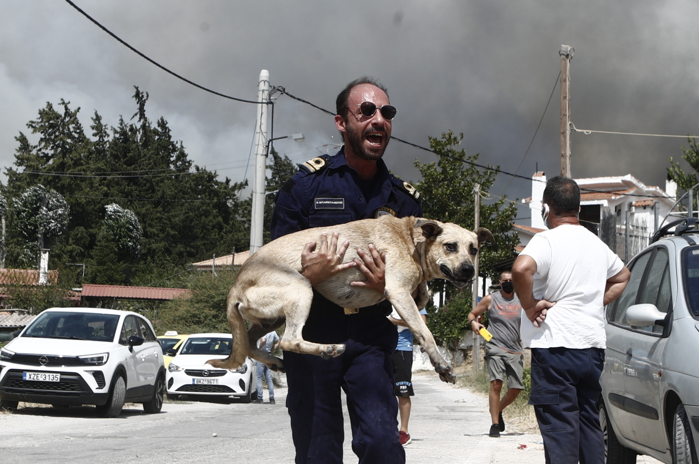 Φωτιά στην Πάρνηθα: Προσπαθούν να σώσουν τα ζώα που έχουν εγκλωβιστεί στη φωτιά στο Μενίδι – Δείτε φωτογραφίες